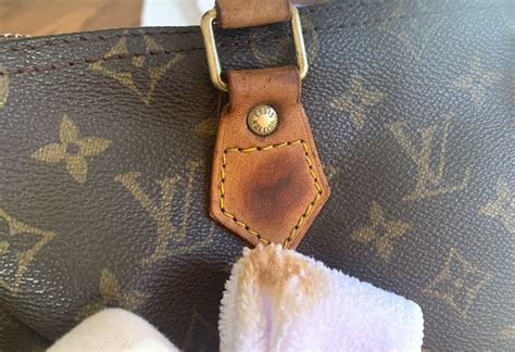 louis Vuitton Bag cleaning service